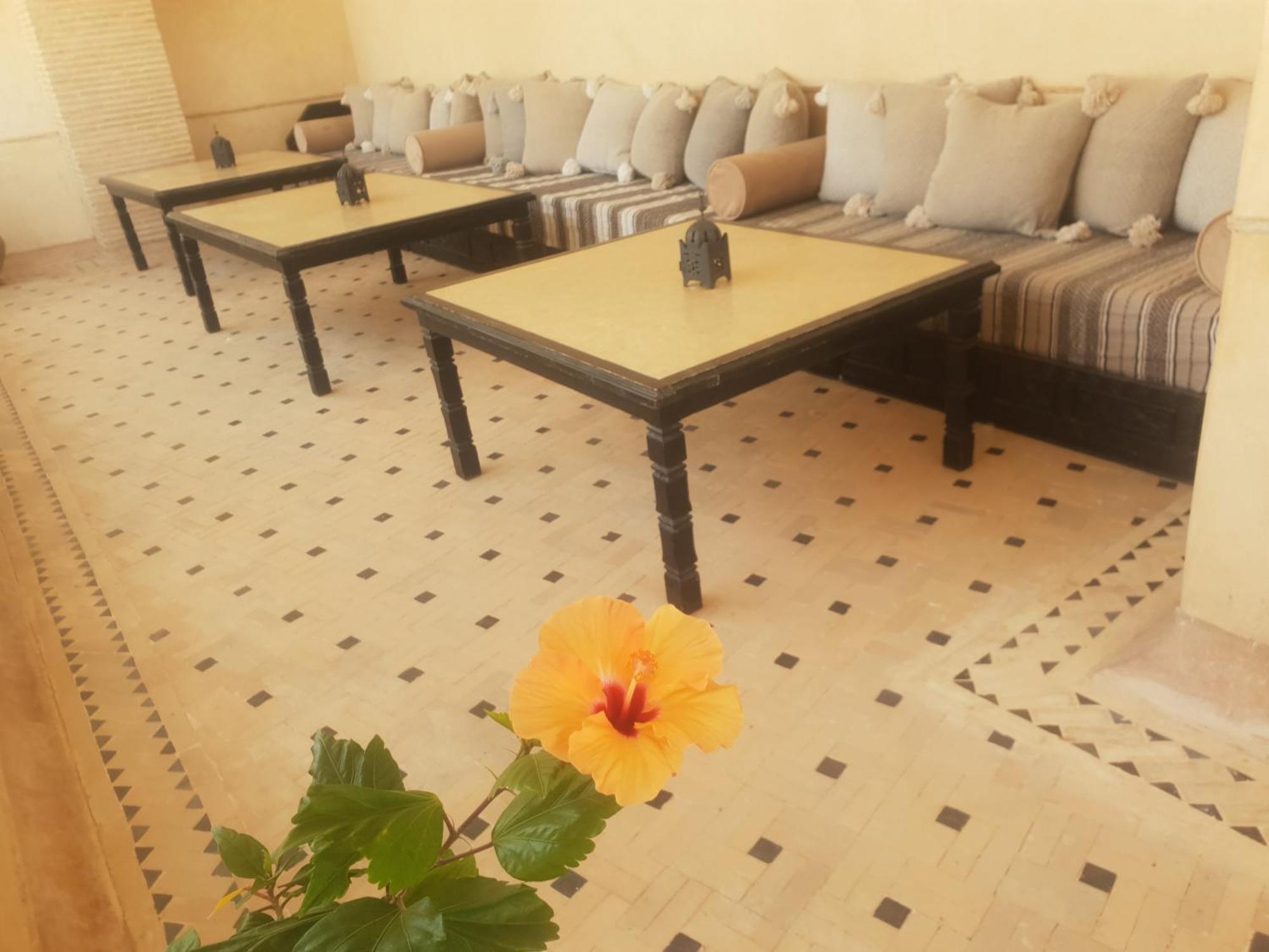 Riad Dar Haven Tamraght ภายนอก รูปภาพ